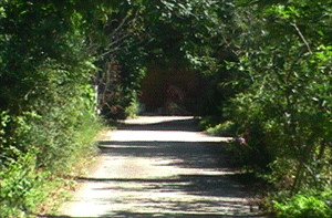 Chemin Concarneau